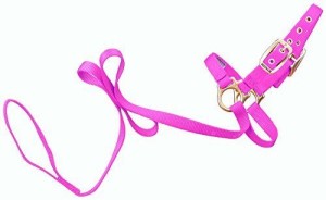 SHEEP HALTER W/LEAD PINK