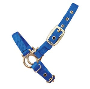 SHEEP HALTER BLUE