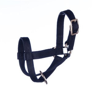 HALTER GOAT BILLY BLK