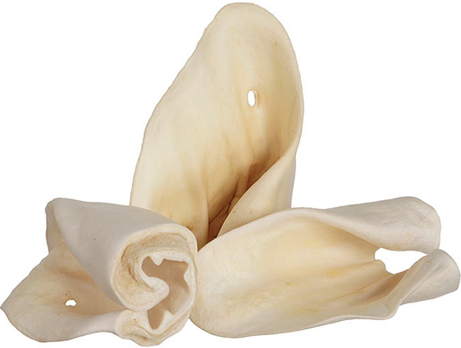 Red Barn COW EAR