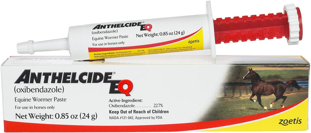 ANTHELCIDE EQ PASTE 24G