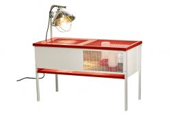 CHICK BROODER BOX GALV STEEL