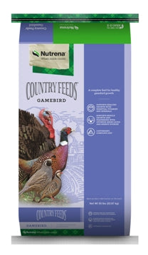 GAMEBIRD DEVELOPER #50