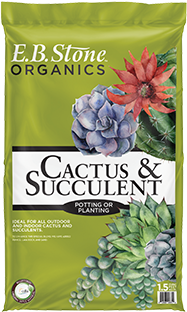 EB CACTUS 1.5