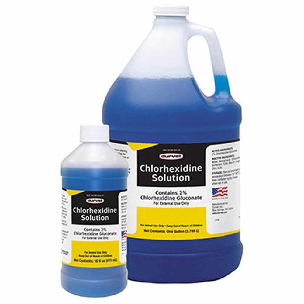 CHLORHEXIDINE SOL 16OZ