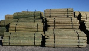 LODGEPOLES 50 CT UNIT 5-6 X 8'