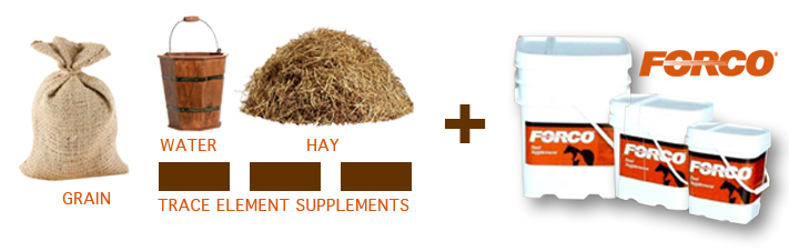 FORCO FEED SUPPLEMENT TUB 25LB