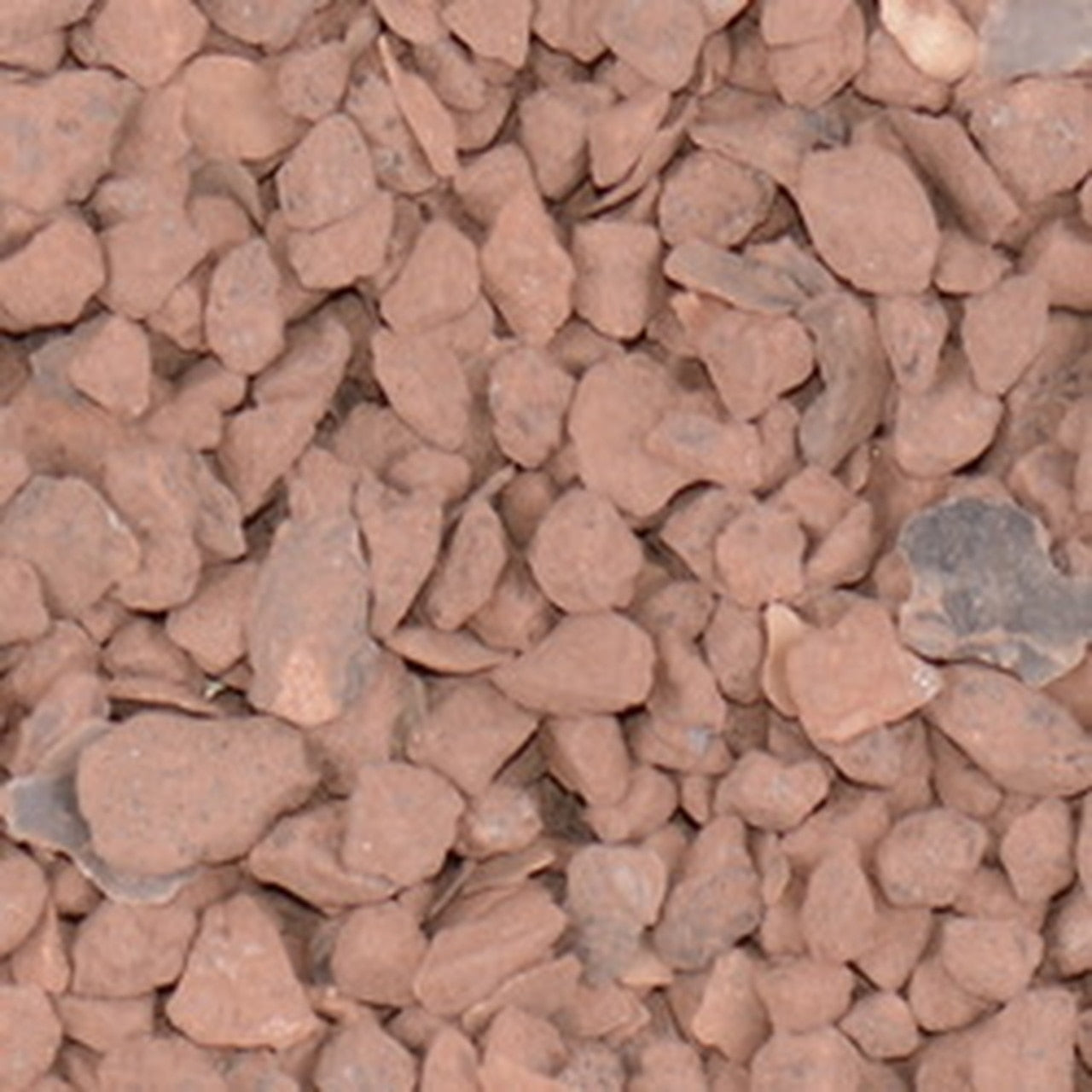 RED GRIT #50