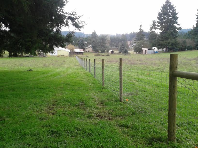 SHEEP AND GOAT FENCE 330'