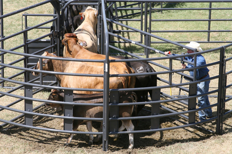 Priefert ROUGH STOCK OPEN SWEEP - 8