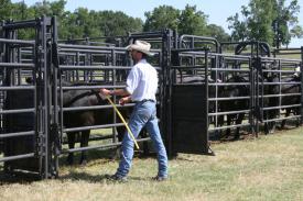 Priefert ROUGH STOCK OPEN SWEEP - 8