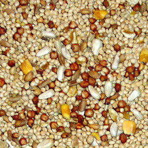 DOVE AND QUAIL #40