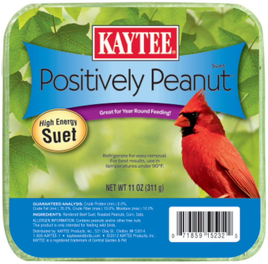 PEANUT SUET WILD BIRDS