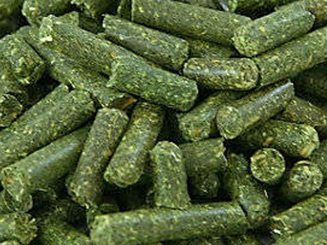 ALFALFA PELLETS 40LB