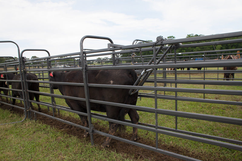 ALLEY STOP UNIVERSAL