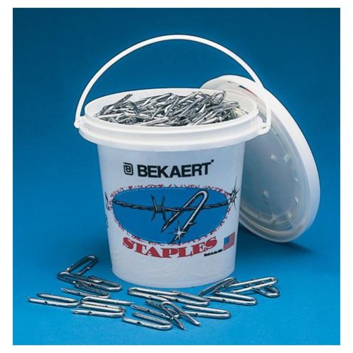 FENCE STAPLES Barbed 1.5" 8#
