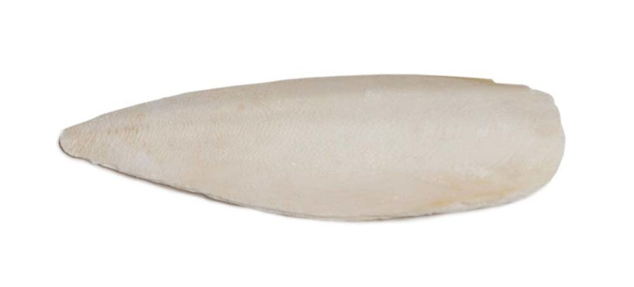 PVE TREAT CUTTLEBONE LG 5# BOX