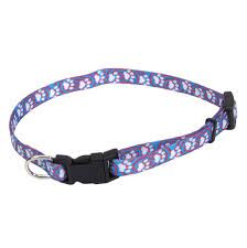 Li'l Pals Collar LBP08'