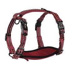 Harness alcott lg RED