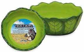 VEGE-T-BOWL CABBAGE