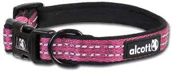 Collar Alcott CLR LG ES PK