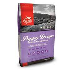Orijen LB Puppy 25