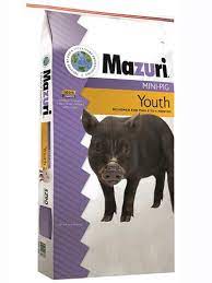 MAZURI MINI PIG YOUTH