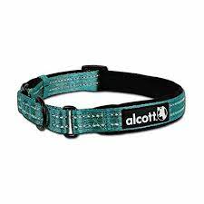 Collar Alcott MCLR MA SM BL