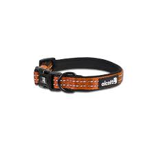 Collar Alcott CLR SM ES NO