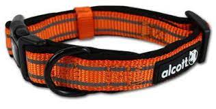 Collar Alcott CLR MD ES NO