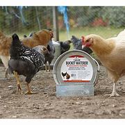 BUCKET GALVANIZED WATERER 1676