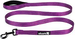 Leash ALSH ES LG PURP
