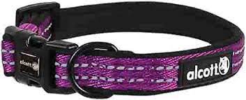Collar Alcott MCLR ES SM purp