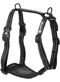 Harness alcott lg BLK