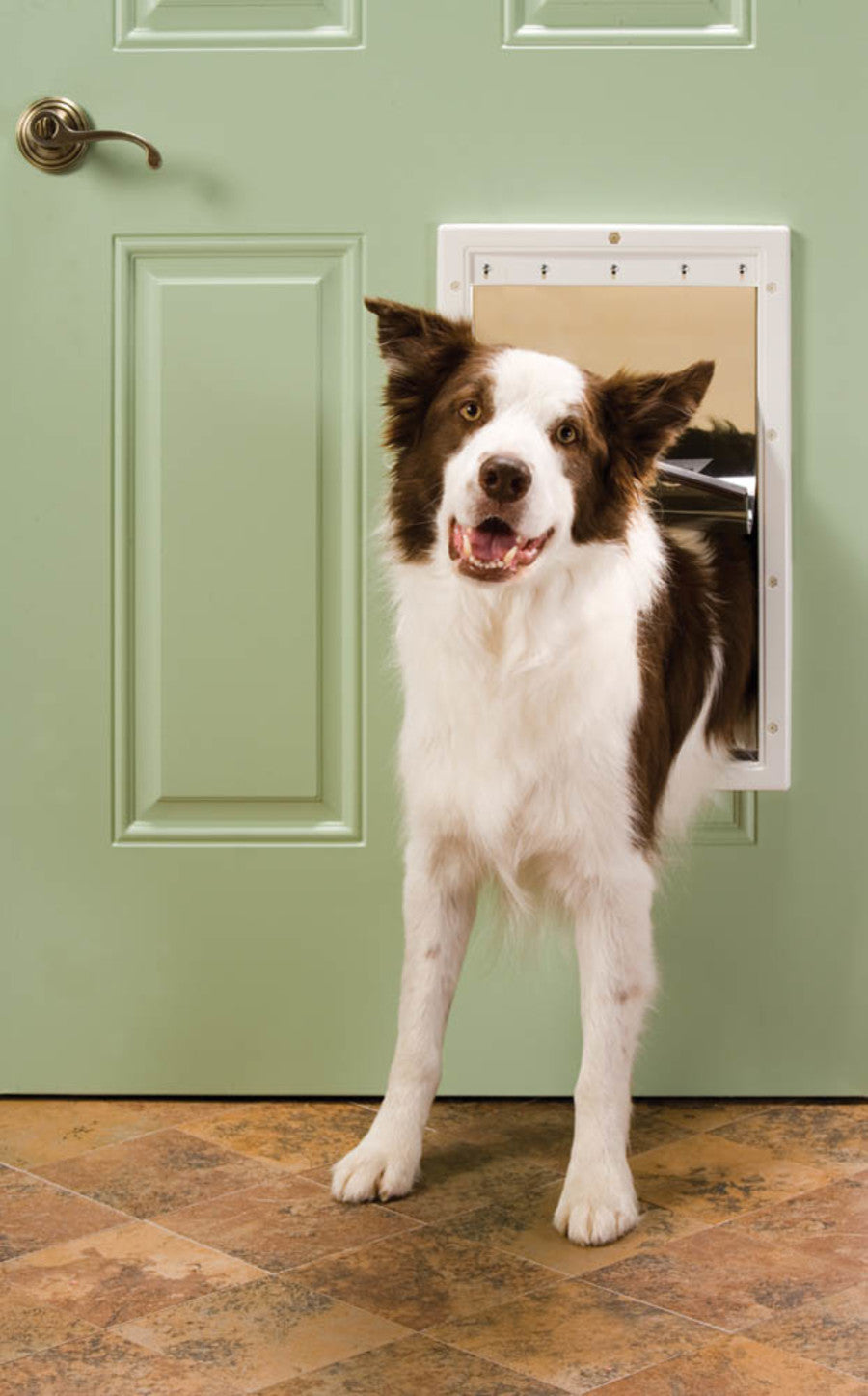 PET DOOR PLASTIC PREM WHT LG