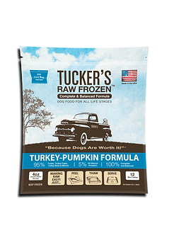 Tuckers FZN Tur PMPK Dog 6