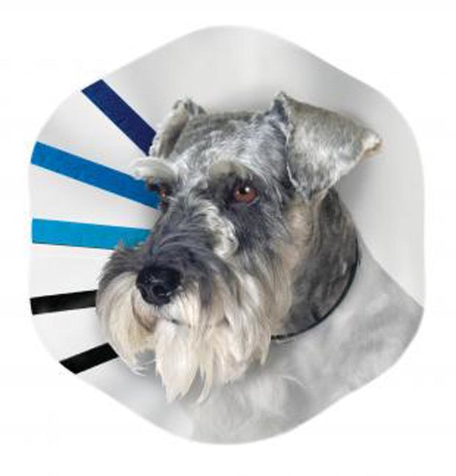 KONG E-COLLAR KONG MED 9-12"