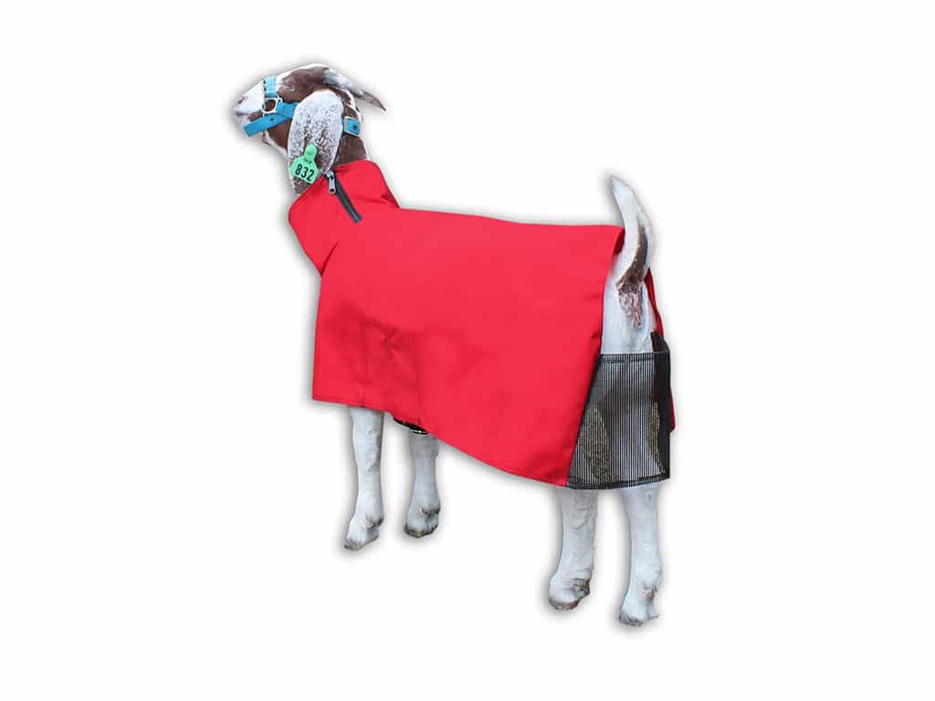 GOAT BLKT NYLON W/NECK PRINT M