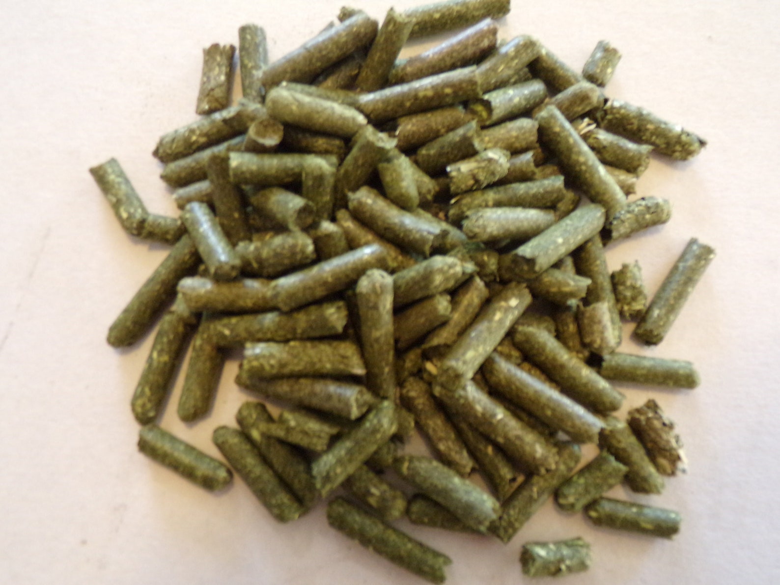 TEFF GRASS HAY PEL 40LB