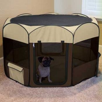 Ware Pop Up Playpen DLX Dog L