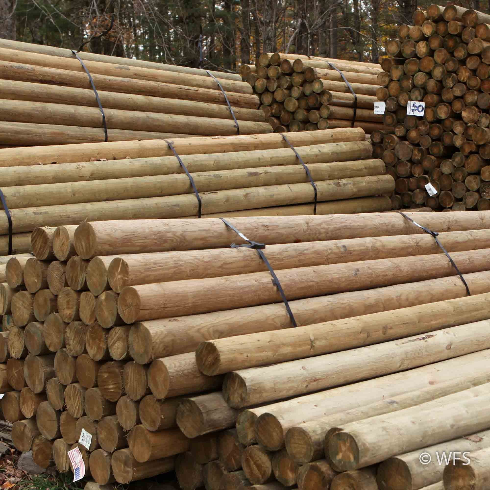 LODGEPOLES 70 CT UNIT 4-5 X 8'
