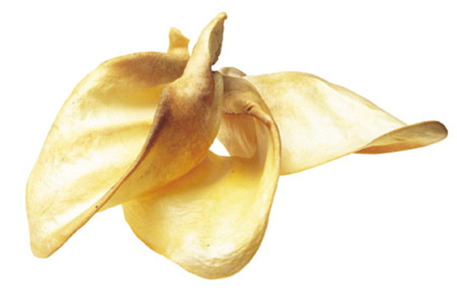 COW EARS