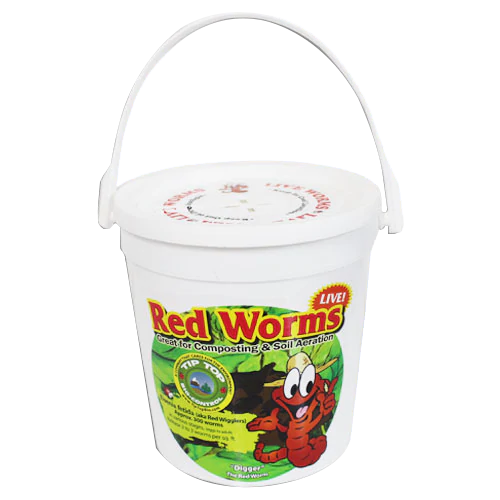 RED WIGGLERS 200 bucket