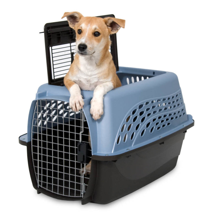 DOS 2 Door Blu BRN Kennel 24
