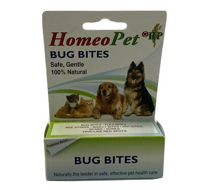 BUG BITES-FLEA BITE DERMATITIS