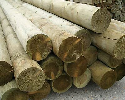 LODGEPOLES 46 CT UNIT 6" X 8'