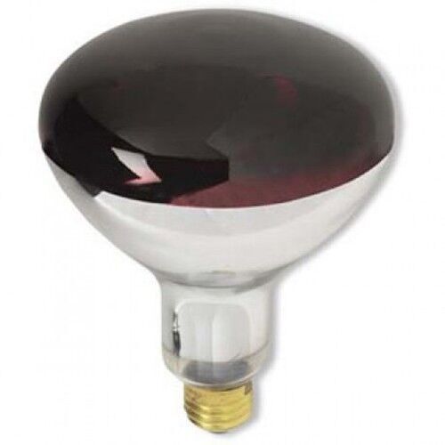 HEAT LAMP RED BULB 250W satco