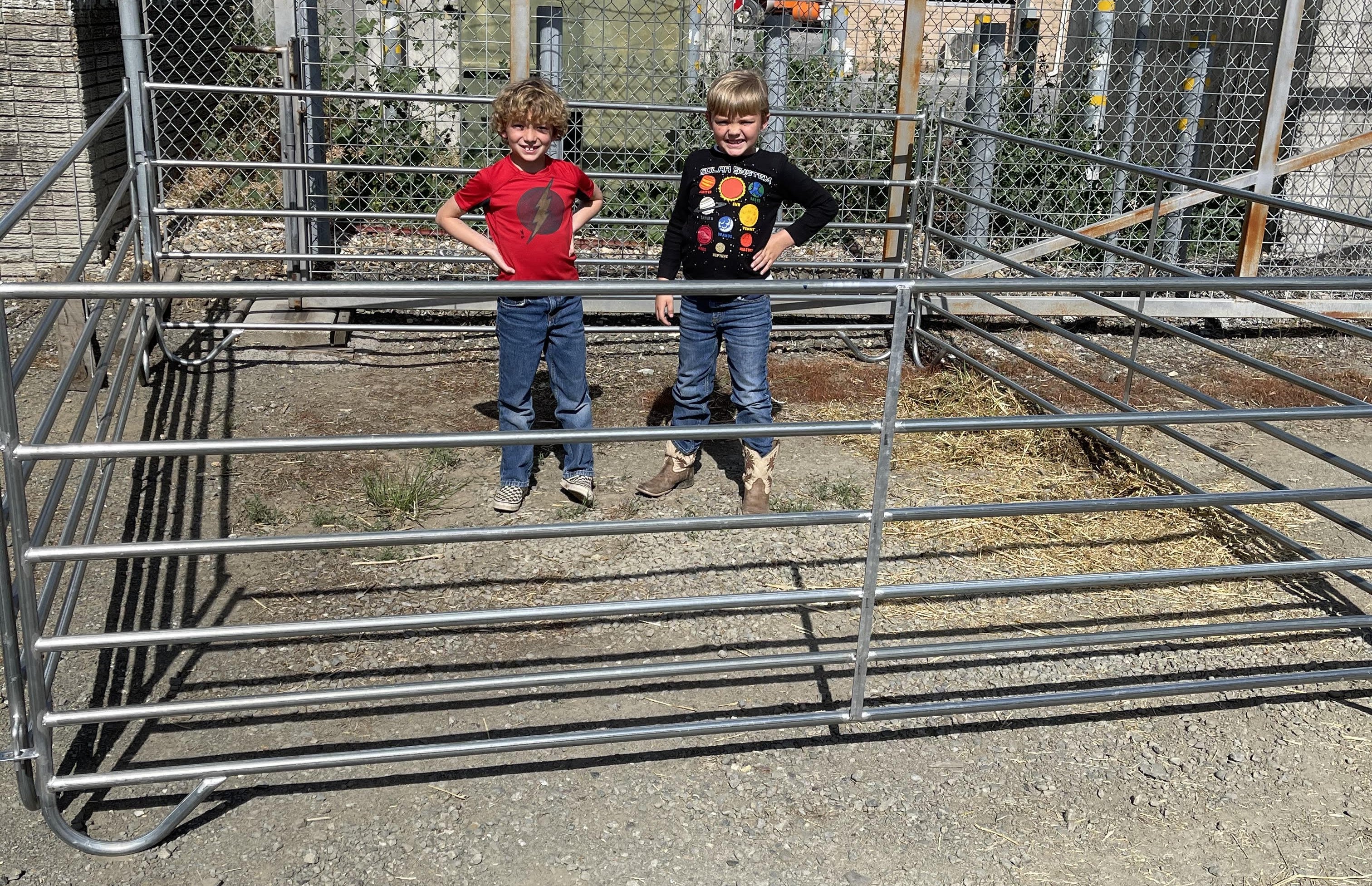 SHEEP PANELS 9.5