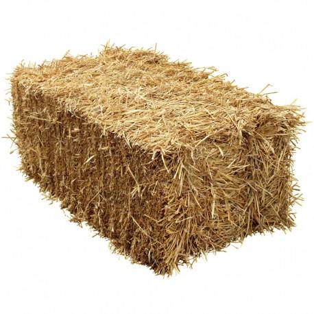 BALE OF STRAW