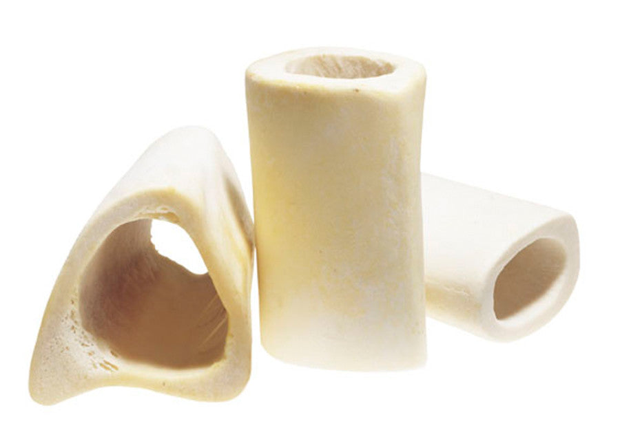 RB Bone Femur WHT 3
